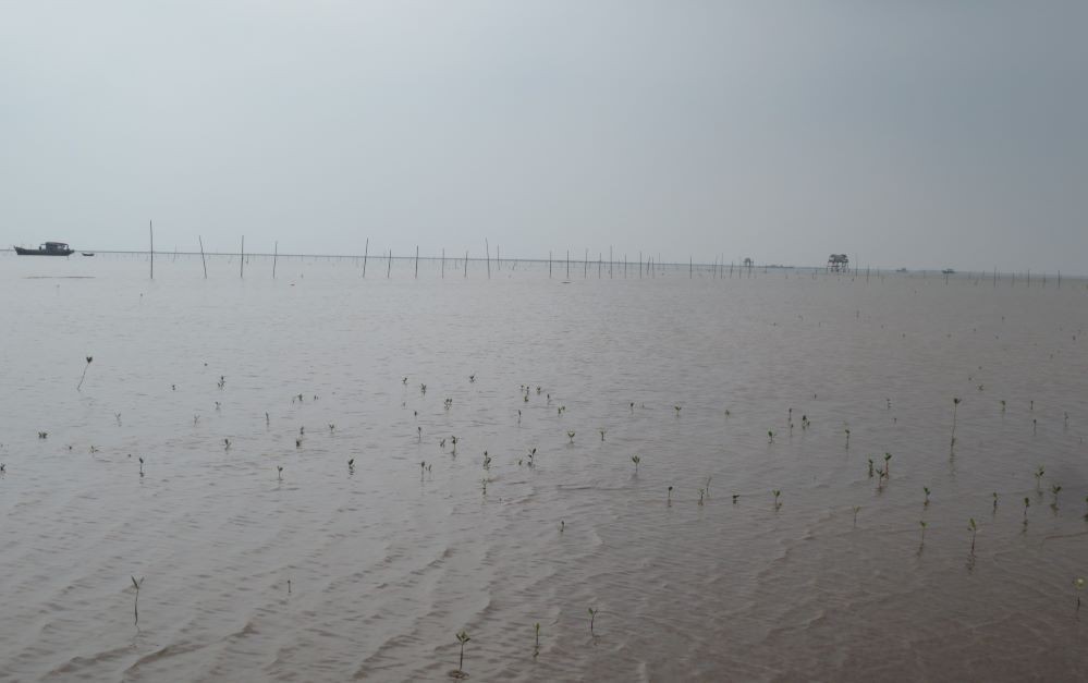 Vùng nước cửa sông Ba Lạt